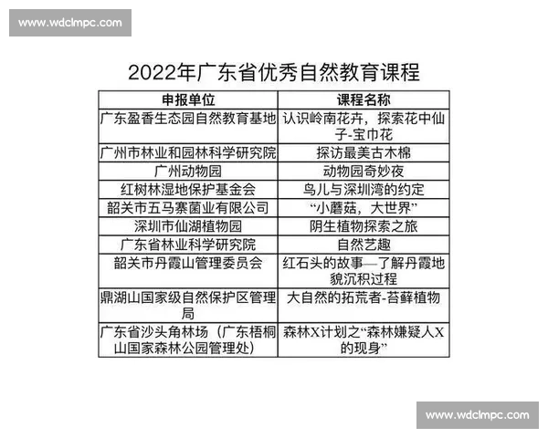 体育赛事竞争机制创新与晋级淘汰制度优化研究与实践探索